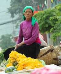 Ngày hè của trẻ em người Mông ảnh 12