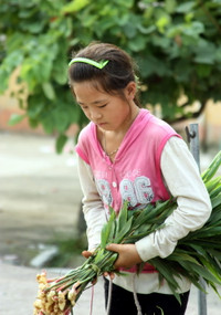 Ngày hè của trẻ em người Mông ảnh 11