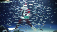 Một ông già Noel đang cho cá ăn tại viện hải dương học Sunshine, Tokyo. (Ảnh: Toru Hanai)