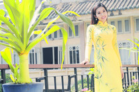 Người đẹp Trúc Mai e ấp áo dài dạo phố xuân ảnh 6