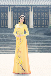 Người đẹp Trúc Mai e ấp áo dài dạo phố xuân ảnh 12