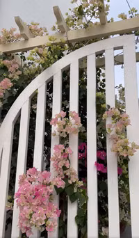 Hé lộ biệt thự ngập tràn sắc Xuân của vợ chồng Mạc Hồng Quân 