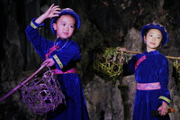 Công nhận cụm cây đa hơn 500 năm tuổi ở Cao nguyên đá Đồng Văn là cây di sản Việt Nam ảnh 12