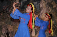 Công nhận cụm cây đa hơn 500 năm tuổi ở Cao nguyên đá Đồng Văn là cây di sản Việt Nam ảnh 5