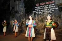 Công nhận cụm cây đa hơn 500 năm tuổi ở Cao nguyên đá Đồng Văn là cây di sản Việt Nam ảnh 3