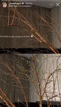 Hải My trổ tài gái đảm trong Xuân đầu tiên làm dâu nhà Văn Hậu 