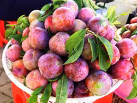 Top món ăn, loại quả tốt cho sức khoẻ để diệt sâu bọ 