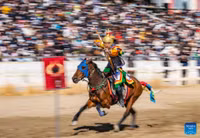 Mãn nhãn màn biểu diễn cưỡi ngựa bắn cung của người Tây Tạng