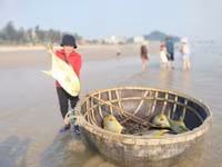 Ngư dân Hà Tĩnh trúng đậm mẻ cá vàng dương, thu lợi hơn 300 triệu đồng