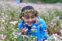 Hoa khôi Sư phạm tỏa sáng trên Cao nguyên đá Đồng Văn ảnh 16