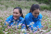 Hoa khôi Sư phạm tỏa sáng trên Cao nguyên đá Đồng Văn ảnh 15