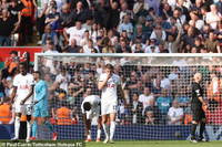 Liverpool dập tắt cơ hội dự Champions League của Tottenham 