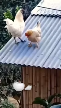 Tiền đạo Tottenham khoe bạn gái mới theo cách ‘kỳ lạ’