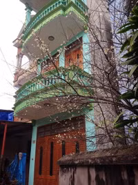 Hoa mận, hoa mai rừng đua nhau khoe sắc trắng tinh khôi ảnh 13