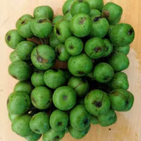 Top loại quả khắc tinh của sỏi thận bán nhiều ở chợ