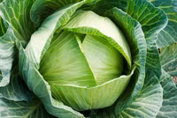 Những thực phẩm rẻ tiền giúp tăng sức khỏe phòng the cho nam, nữ 