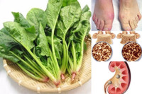 Loại rau vừa rẻ, tốt cho người tiểu đường, chợ Việt bán nhiều 