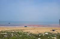 Người dân lo lắng trước dải nước màu đỏ xuất hiện ở biển Hà Tĩnh