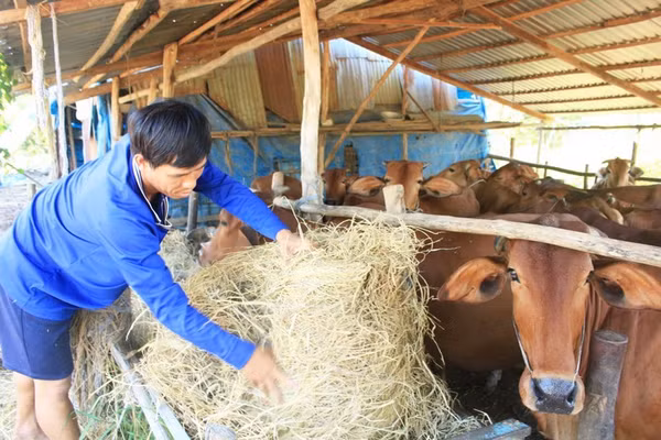 Đời sống của nhiều người dân nâng cao hơn nhờ phong trào thi đua ‘Vì người nghèo – Không ai bị bỏ lại phía sau. Ảnh BDT