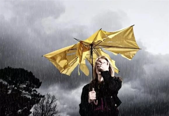 Tử vi 12 con giáp ngày 26/9: Sửu gặp vận may hiếm có, Hợi tình cảm sóng gió