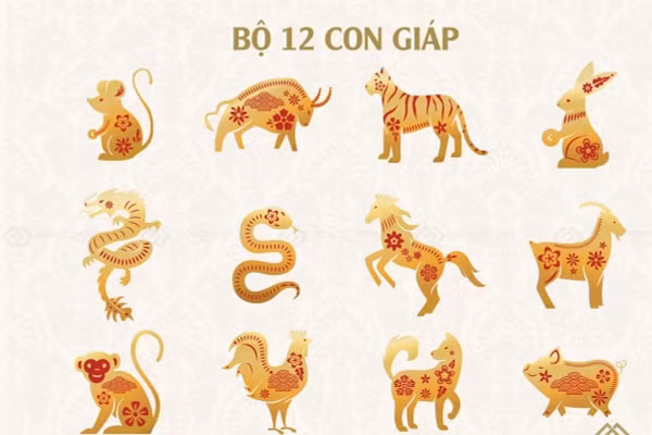 Tử vi 12 con giáp ngày 23/6: Thân độc thân gặp được 'chân ái', Tỵ tiền bạc gõ cửa