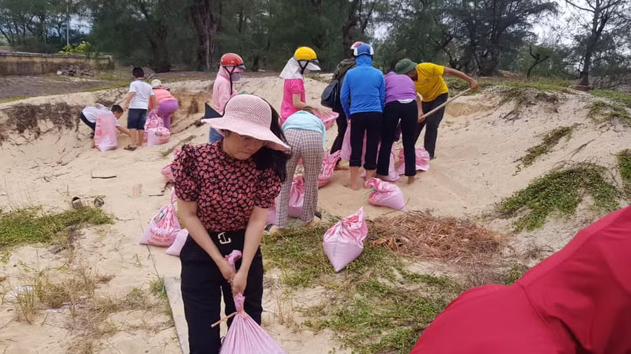 Giáo viên Trường mầm non Quang Phú (Tp. Đồng Hới - Quảng Bình) lấy cát đè trên mái nhà