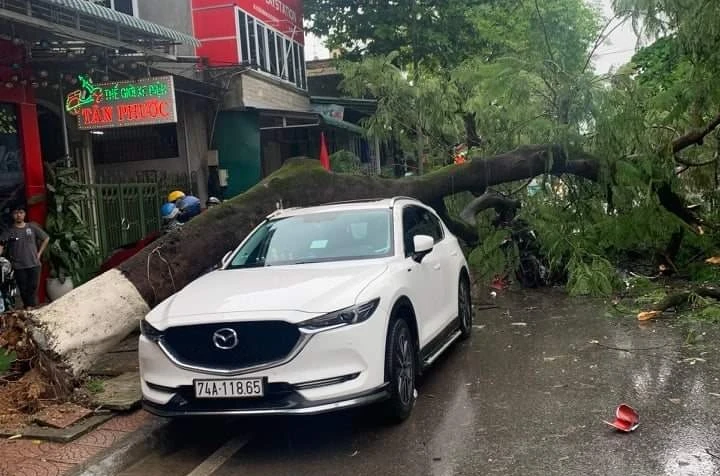 Cây phượng cổ gảy đổ xuống đường đè lên xe ôtô và xe máy đang đậu đỗ.