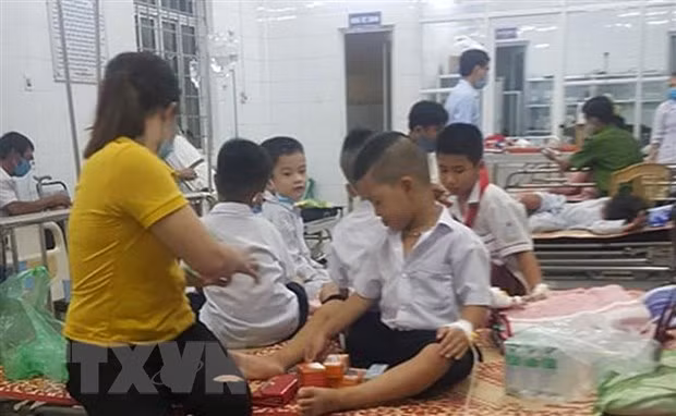 Các em học sinh bị ong đốt được đưa vào Trung tâm Y tế huyện Cam Lộ để điều trị. (Ảnh: TTXVN).