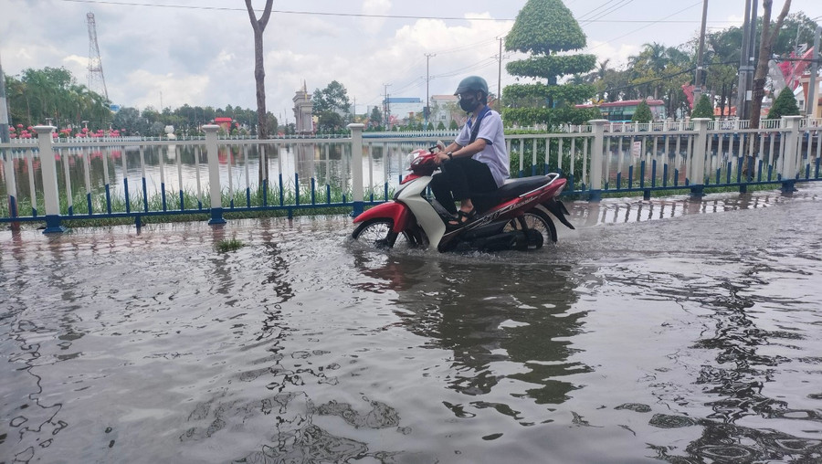 Thí sinh gặp khó trong việc di chuyển đến các điểm thi do đường ngập nước. Thí sinh gặp khó trong việc di chuyển đến các điểm thi do đường ngập nước.