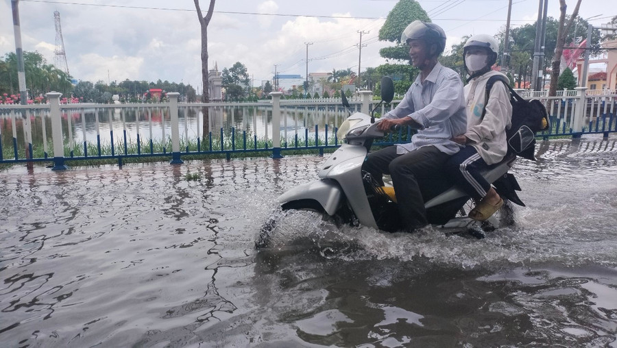 Đường vào điểm thi Trường THPT Nguyễn Trung Trực (TX Giá Rai, Bạc Liêu) bị ngập sâu. Đường vào điểm thi Trường THPT Nguyễn Trung Trực (TX Giá Rai, Bạc Liêu) bị ngập sâu.