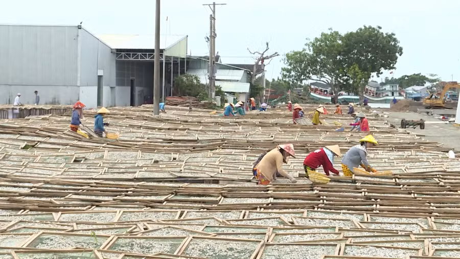 Phụ nữ thị trấn Sông Đốc được tạo công ăn việc làm tại địa phương.