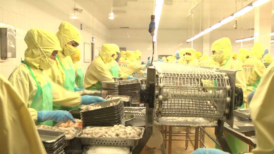 Cà Mau phấn đấu đến năm 2030, kim ngạch xuất khẩu đạt 1,65 tỷ USD.