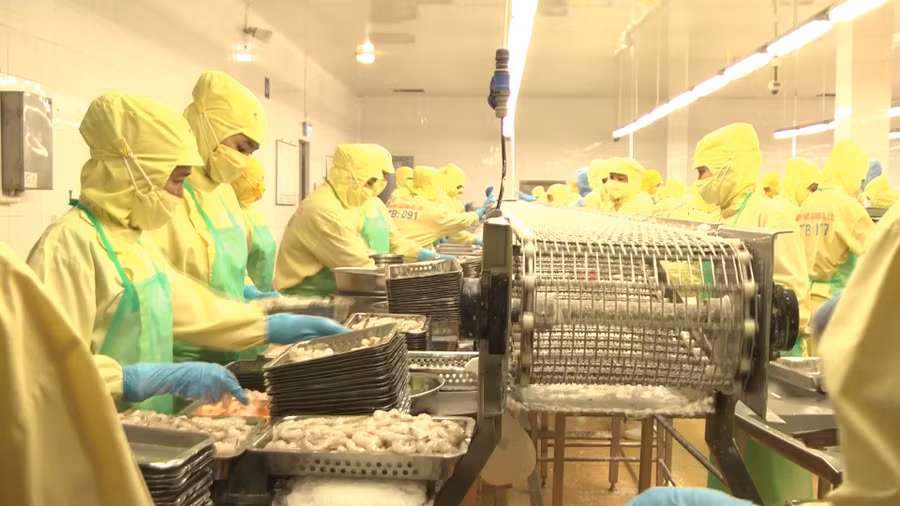 Cà Mau phấn đấu đến năm 2030, kim ngạch xuất khẩu đạt 1,65 tỷ USD.