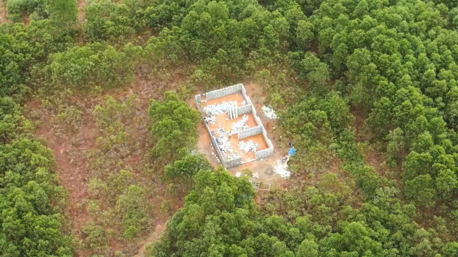 Một căn nhà được xây dựng nằm len lõi giữa rừng tràm tại xã Vĩnh Hà (huyện Vĩnh Linh).