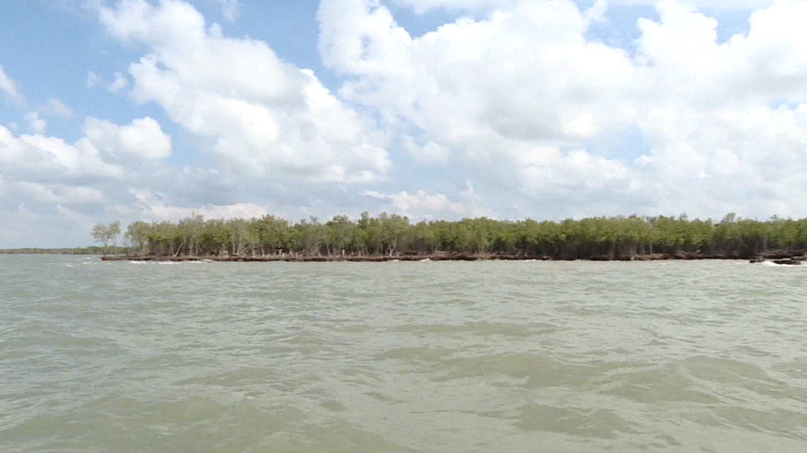 Sạt lở khiến diện tích rừng phòng hộ ven biển ở Cà Mau ngày càng bị thu hẹp Sạt lở khiến diện tích rừng phòng hộ ven biển ở Cà Mau ngày càng bị thu hẹp