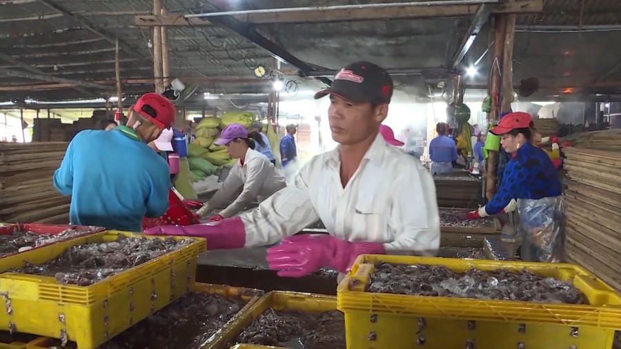 Hộ nghèo được tạo công ăn việc làm để vươn lên thoát nghèo. Hộ nghèo được tạo công ăn việc làm để vươn lên thoát nghèo.