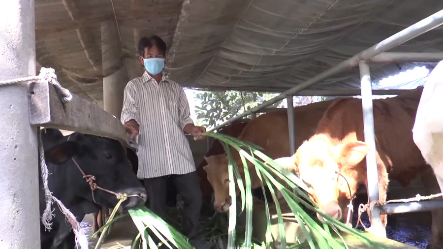 Nhiều hộ nghèo được hỗ trợ vay vốn thực hiện các mô hình sản xuất. Nhiều hộ nghèo được hỗ trợ vay vốn thực hiện các mô hình sản xuất.