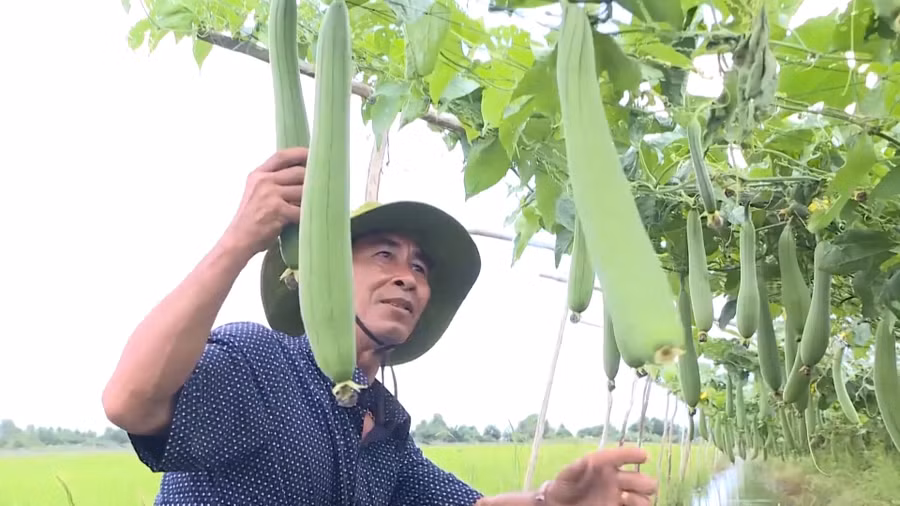 Những lá đơn xin thoát nghèo 