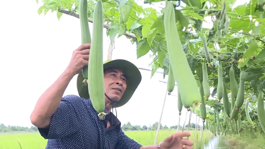 Những lá đơn xin thoát nghèo 