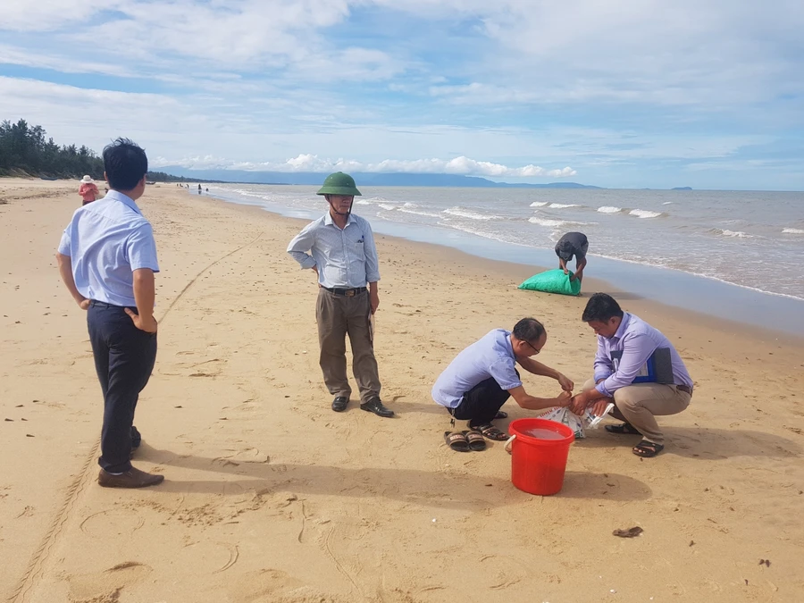 Cơ quan chức năng thu gom mẫu ốc xoắn dạt vào bờ sau bão số 5.