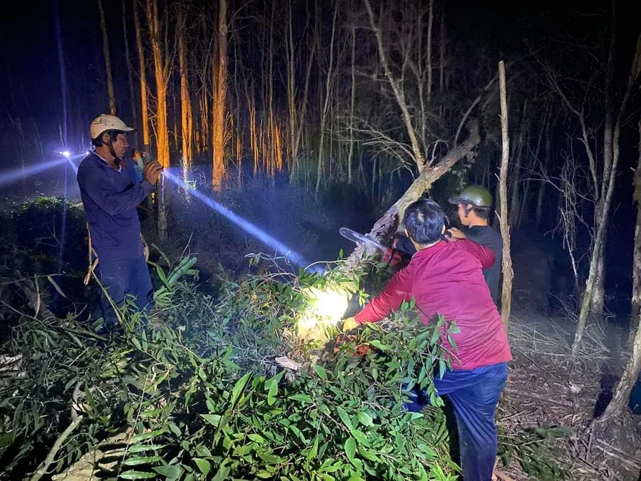 Chủ tịch Cà Mau chỉ đạo làm rõ nguyên nhân vụ cháy rừng ở Nông trường 402