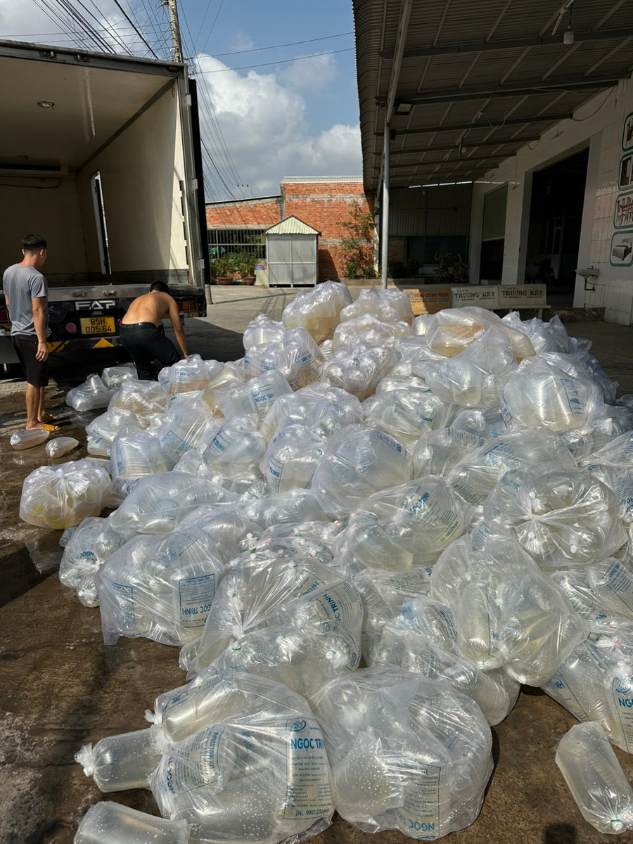 Số tôm giống không rõ nguồn gốc vừa bị lực lượng chức năng tỉnh Bạc Liêu bắt giữ. Số tôm giống không rõ nguồn gốc vừa bị lực lượng chức năng tỉnh Bạc Liêu bắt giữ.