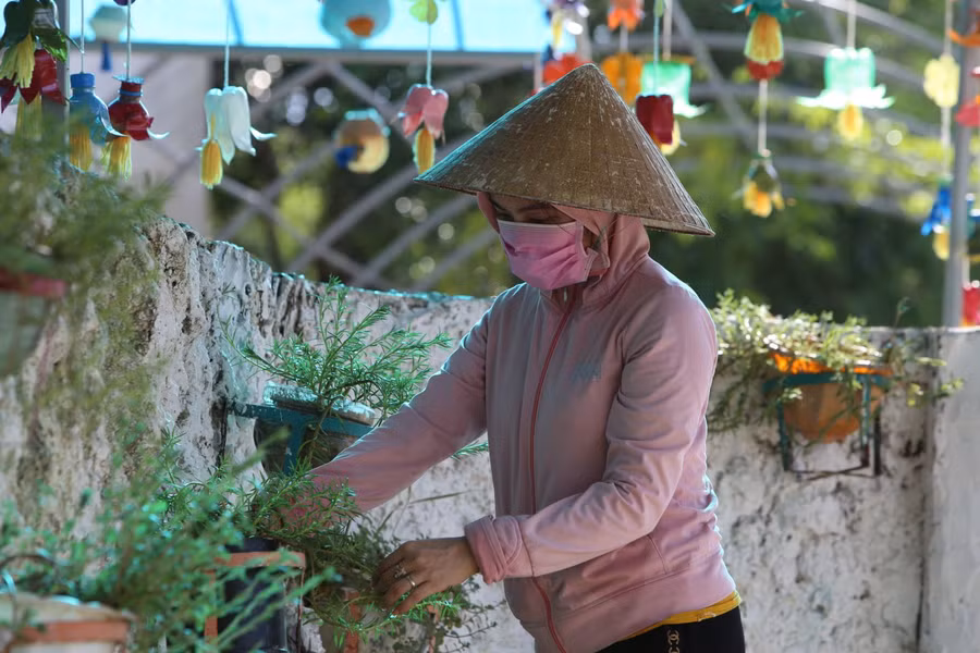 Sắp xếp lại cây cảnh, hoa tại khuôn viên nhà trường