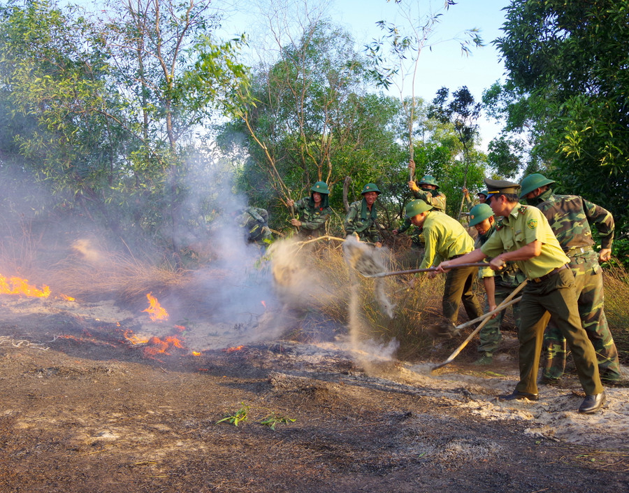 Dùng cát vừa dập lửa vừa tạo đường ngăn cách tránh lửa lan ra diện rộng Dùng cát vừa dập lửa vừa tạo đường ngăn cách tránh lửa lan ra diện rộng