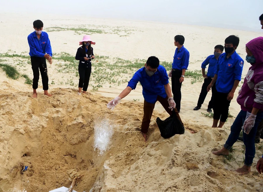 Đoàn viên thanh niên tham gia làm sạch môi trường ven biển và các bãi tắm.