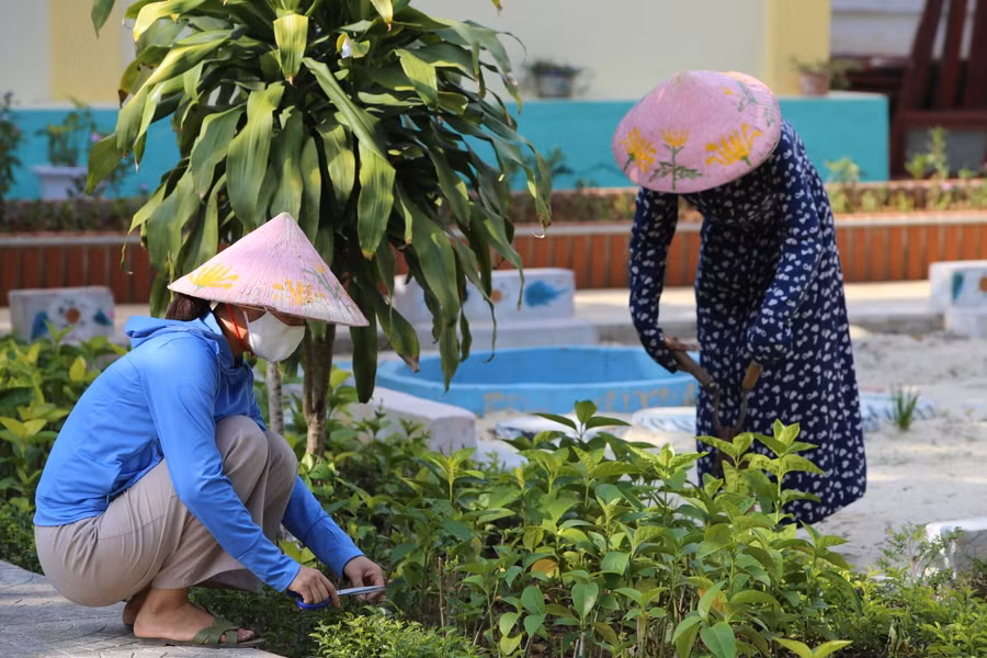 Chăm sóc vườn hoa