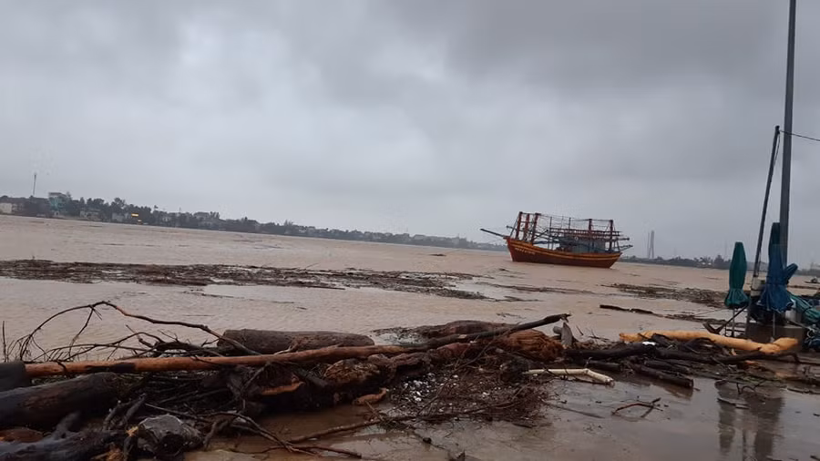 Mưa lũ làm cuốn các loại cây gỗ, rác rưởi tấp vào ven bờ của sông Nhật Lệ đoạn Tp. Đồng Hới