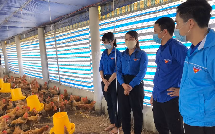 Nhiều thanh niên bị thất nghiệp do dịch Covid-19 được hỗ trợ vốn để chuyển đổi sinh kế