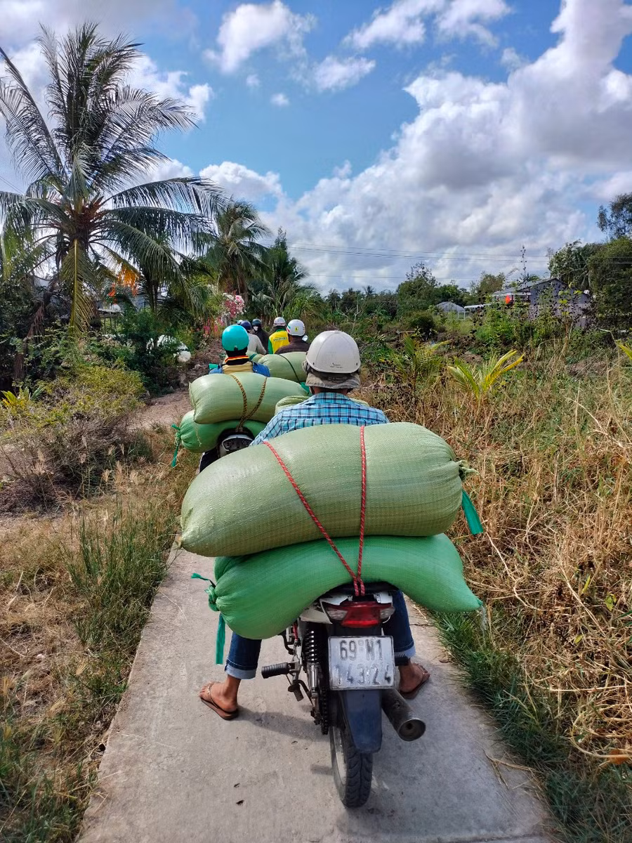 Nông dân phải tốn thêm chi phí vận chuyển lúa bán cho thương lái mỗi bao khoảng 10 nghìn đồng.