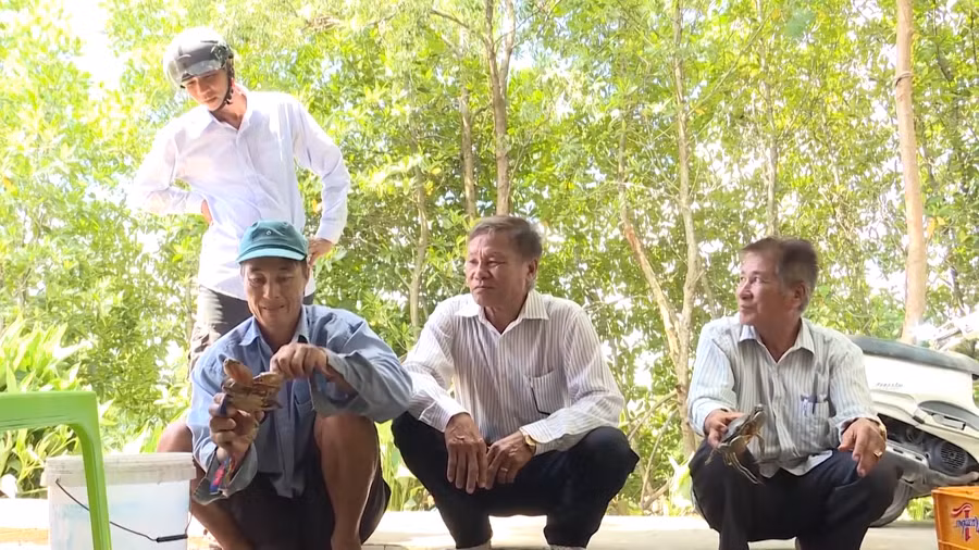 Ông Việt chia sẻ kinh nghiệm nuôi cua với người dân trong ấp.